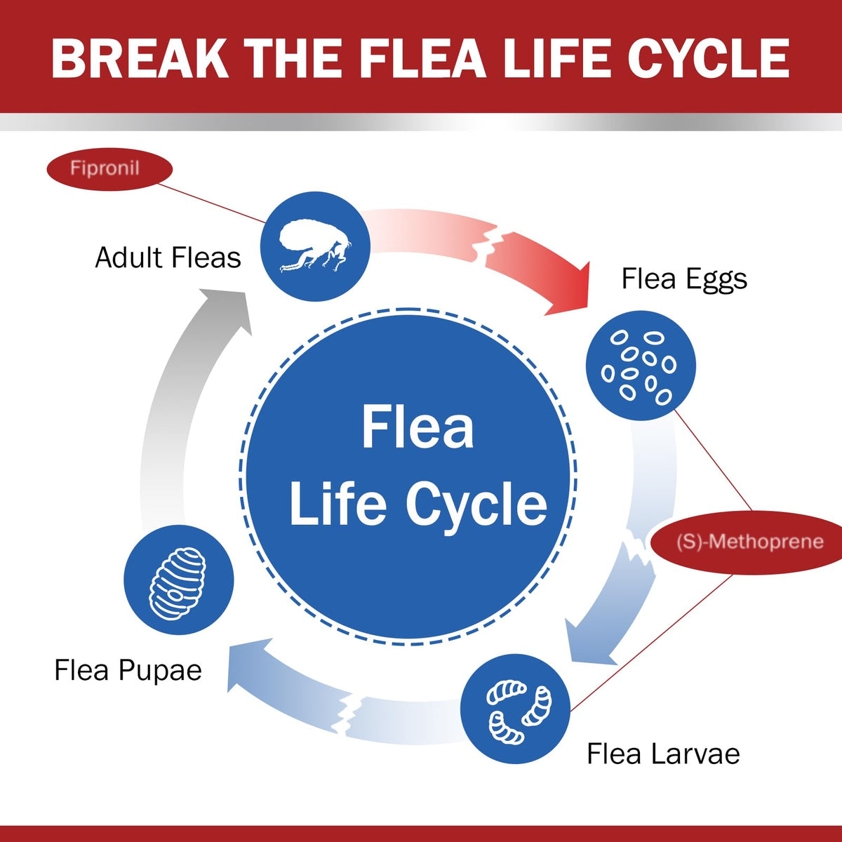 Flea and Tick Prevention for Large Dogs 45 to 88 lbs L6804