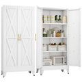 61" Metal Kitchen Pantry Storage Cabinet with 2 Doors and 3 Adjustable Shelves U812417