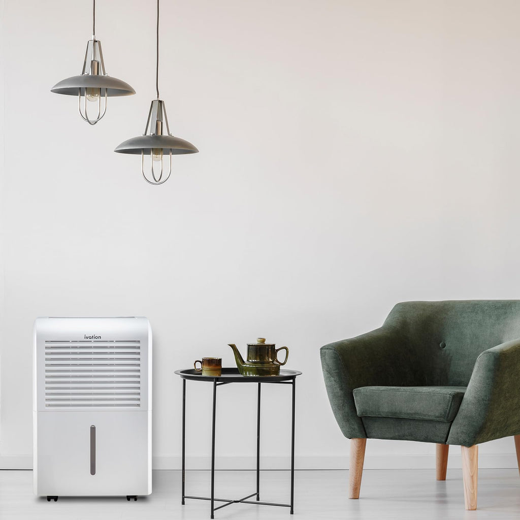 50 Pint Dehumidifier with Pump & Drain Hose D922563