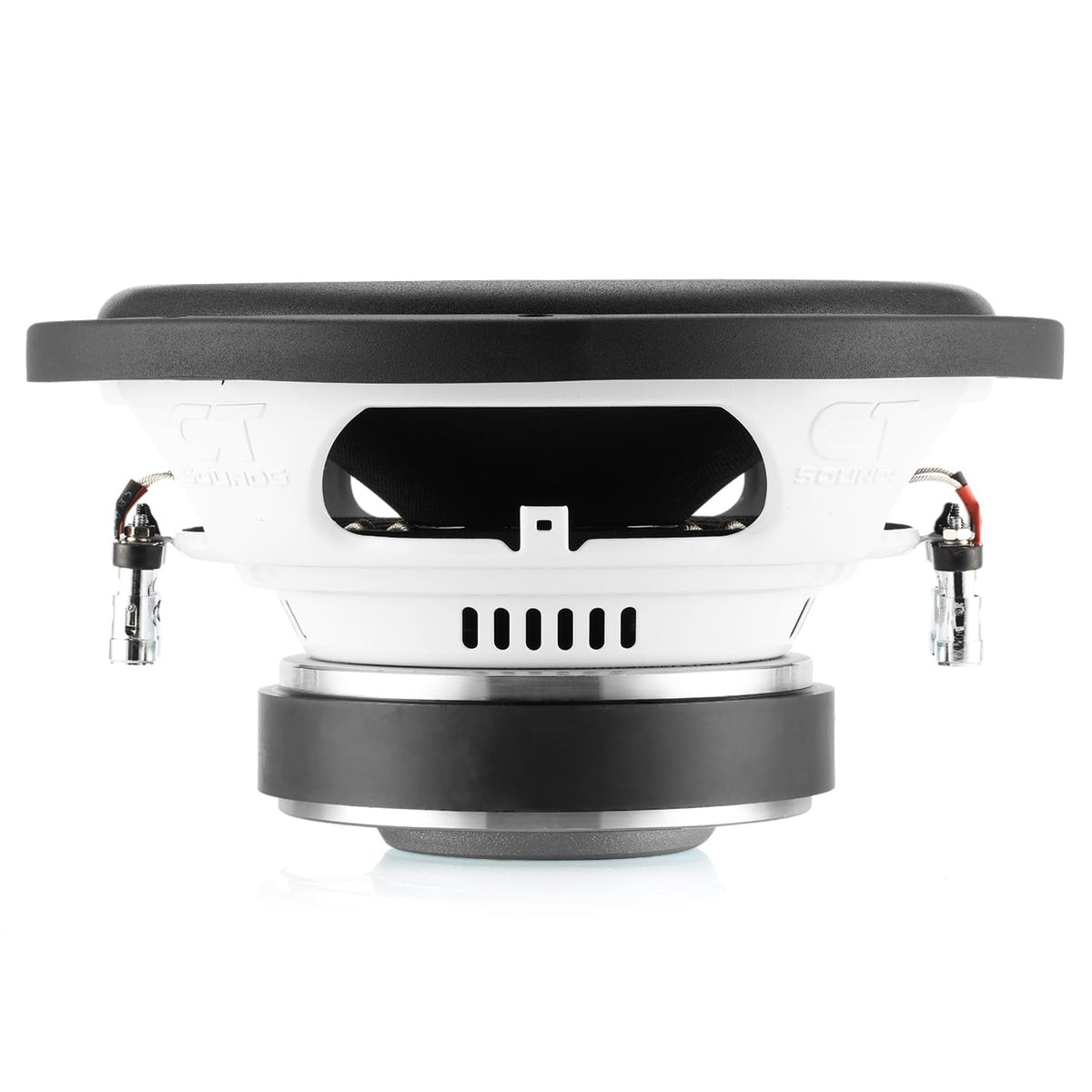 10” Dual 4-Ohm Car Subwoofer S207