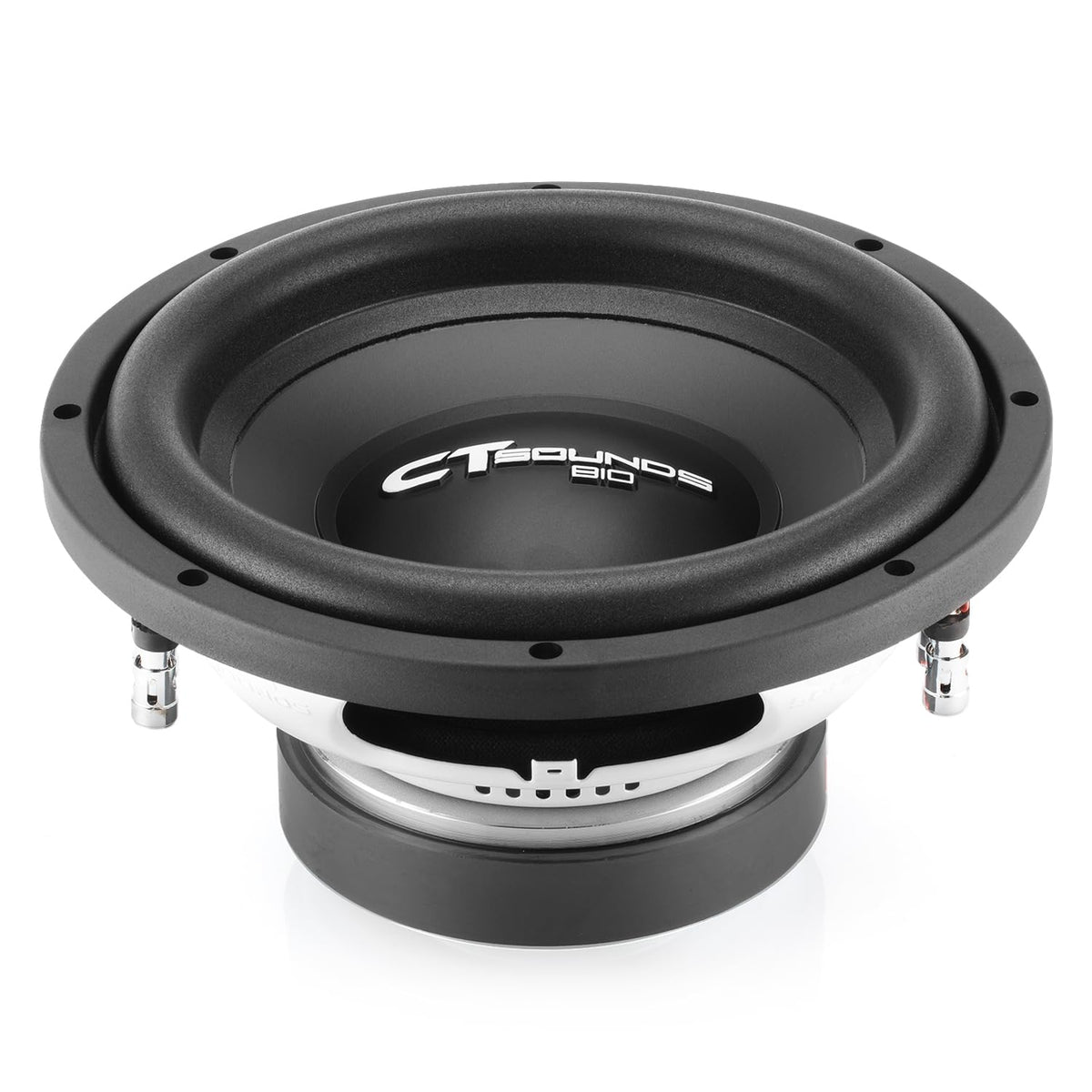 10” Dual 4-Ohm Car Subwoofer S207