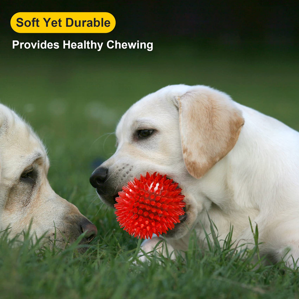 Squeaky Dog Toy Balls BPA Free Non-Toxic E295