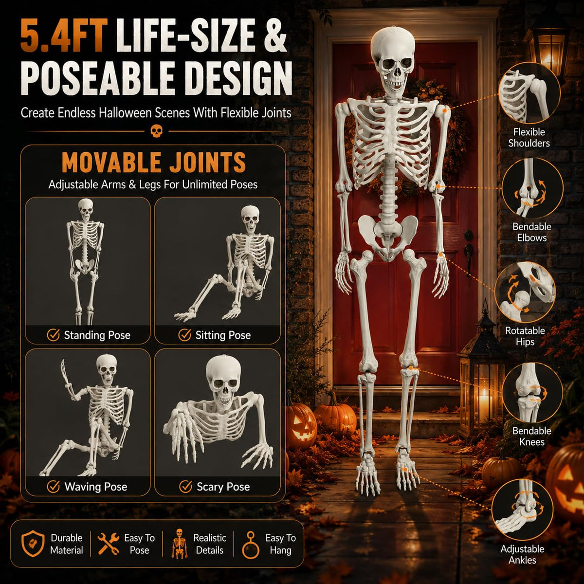 Life Size Poseable Skeleton with Movable Joints R837736