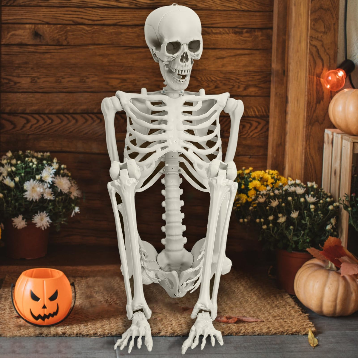Life Size Poseable Skeleton with Movable Joints R837736