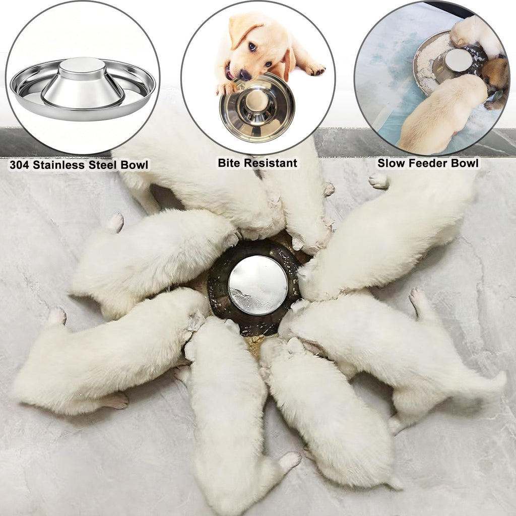 Stainless Steel Multi-Pet Feeding Bowl Y652