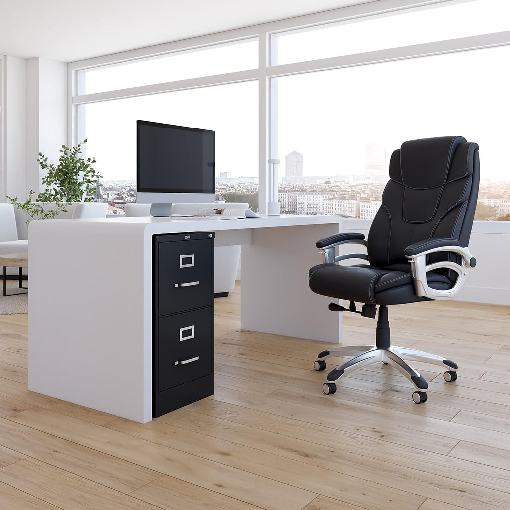 Black 2 Drawer Letter Size Lockable File Cabinet T4251
