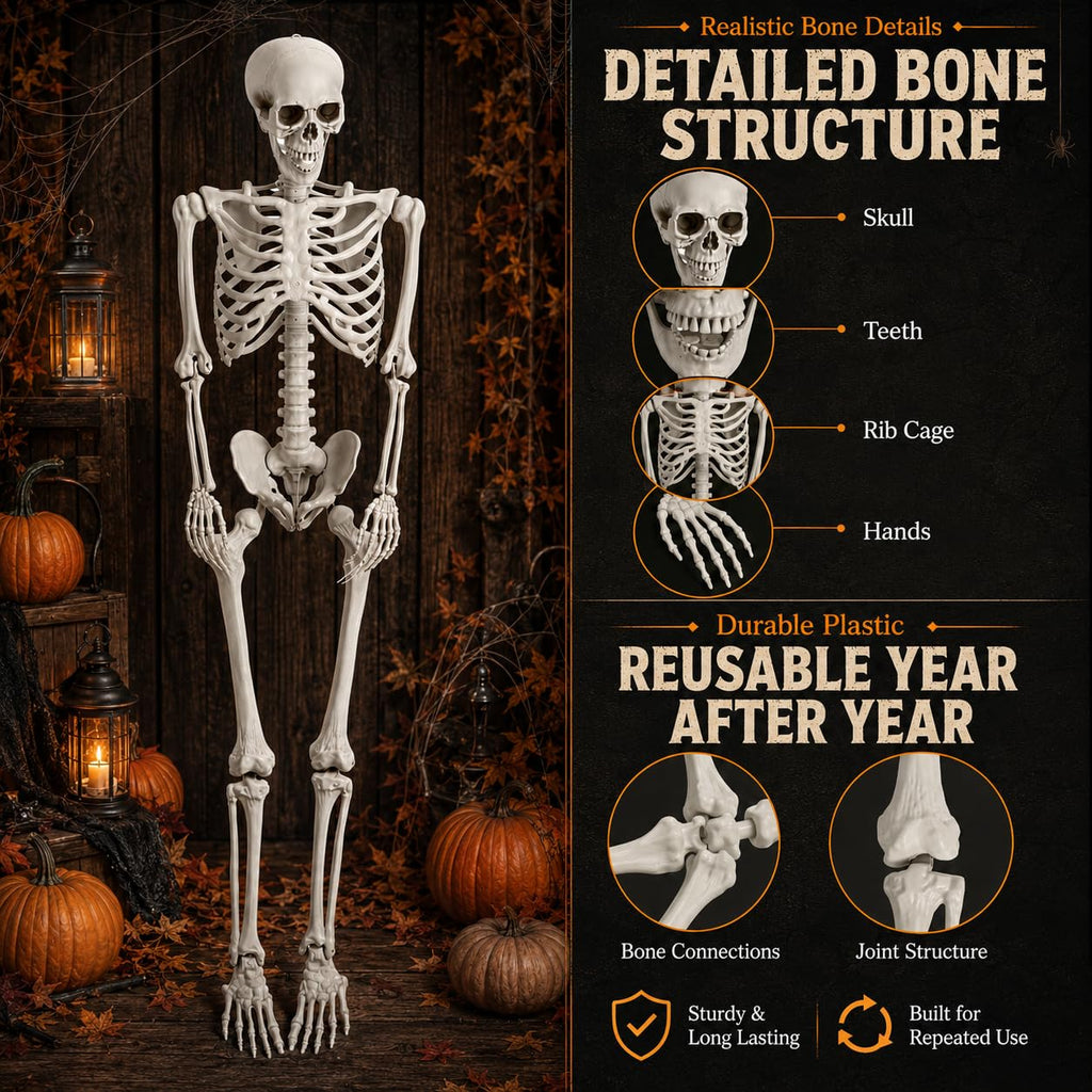 Life Size Poseable Skeleton with Movable Joints R837736