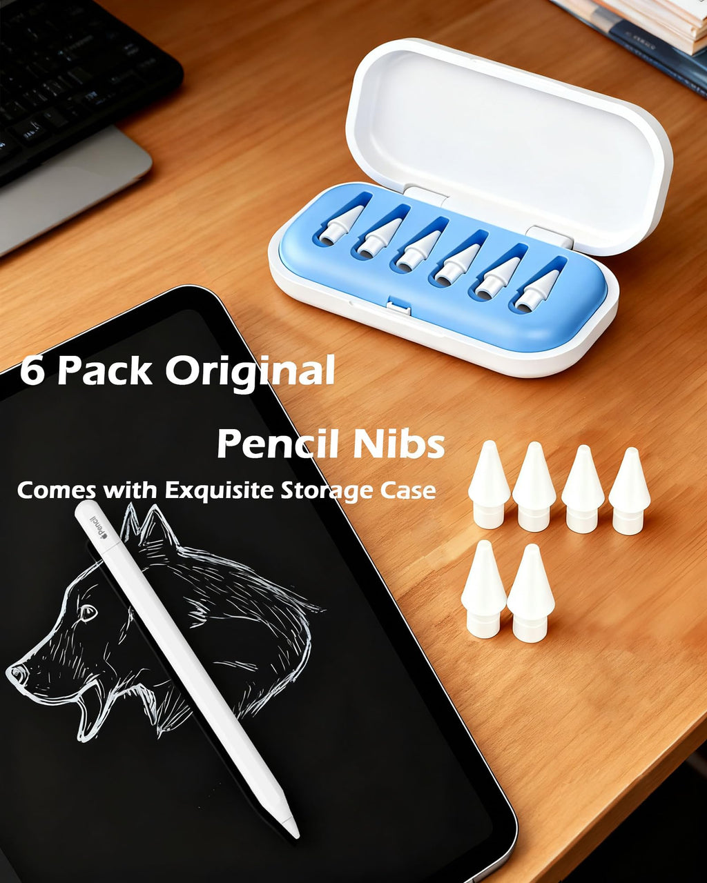 6 Pack Replacement Pencil Tips with Case Q29987