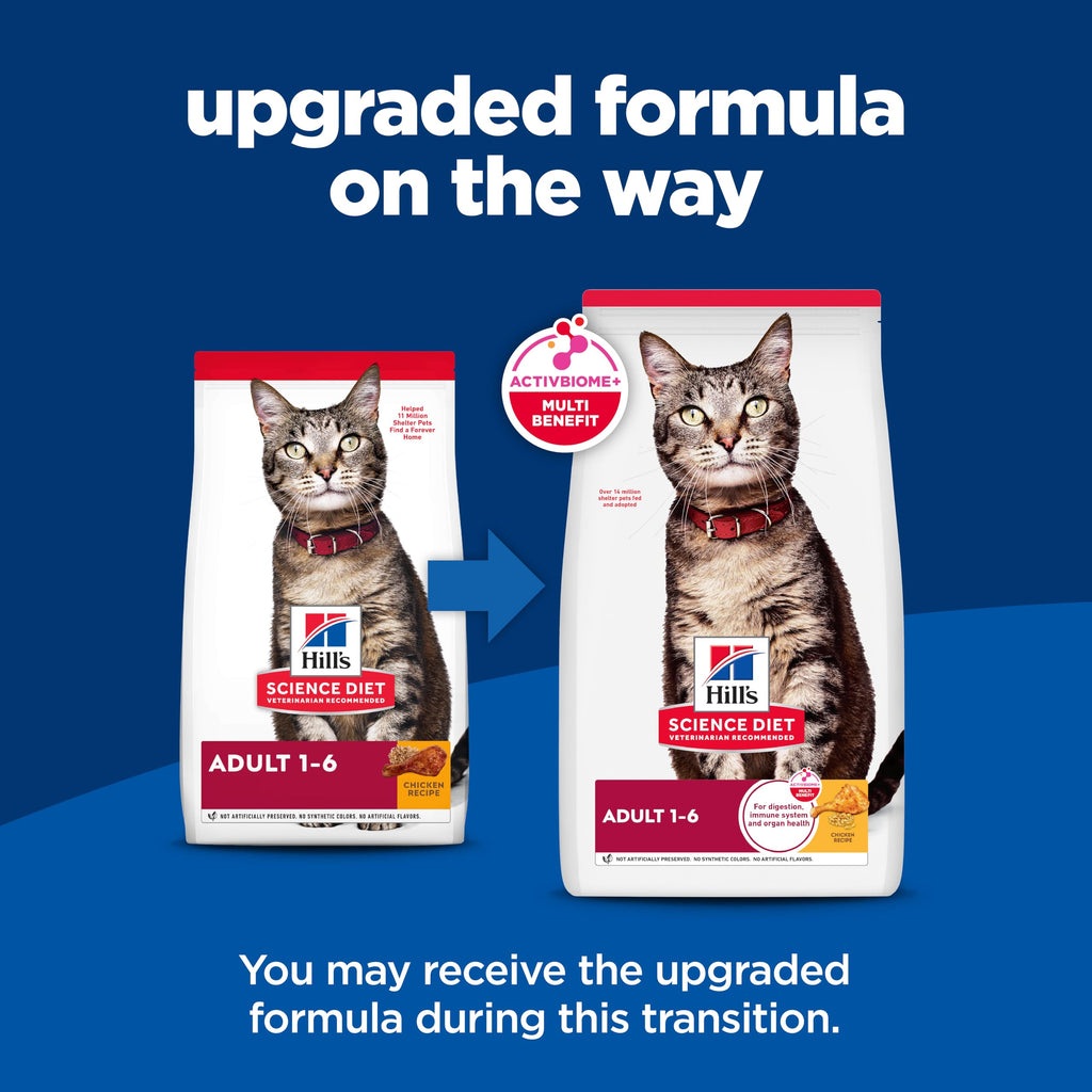Dry Cat Food P763