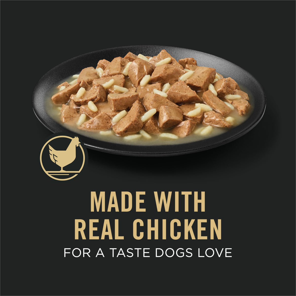 Chicken Gravy Wet Dog Food 13 oz I756847