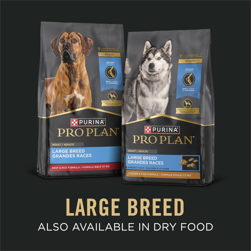 Chicken Gravy Wet Dog Food 13 oz I756847