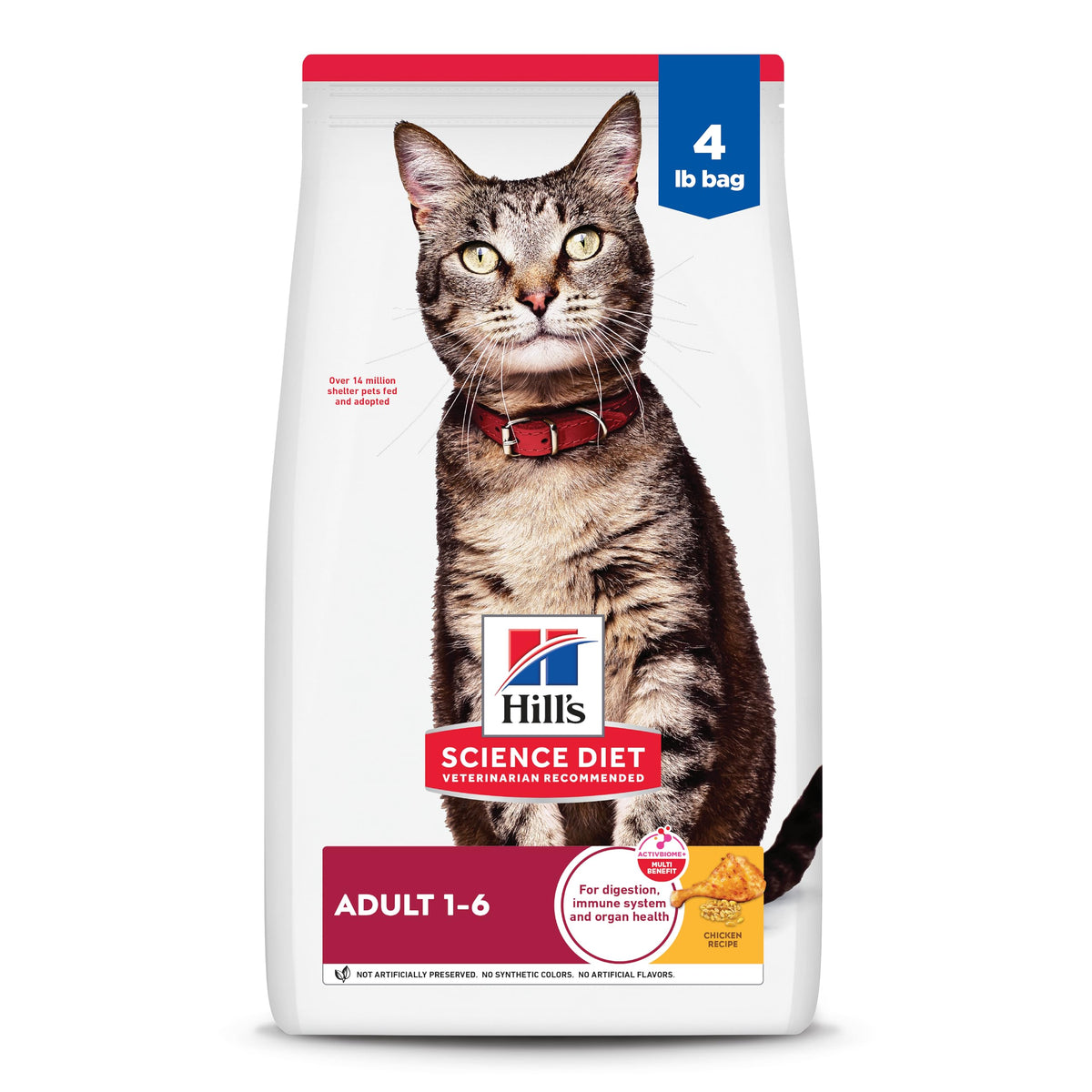 Dry Cat Food P763