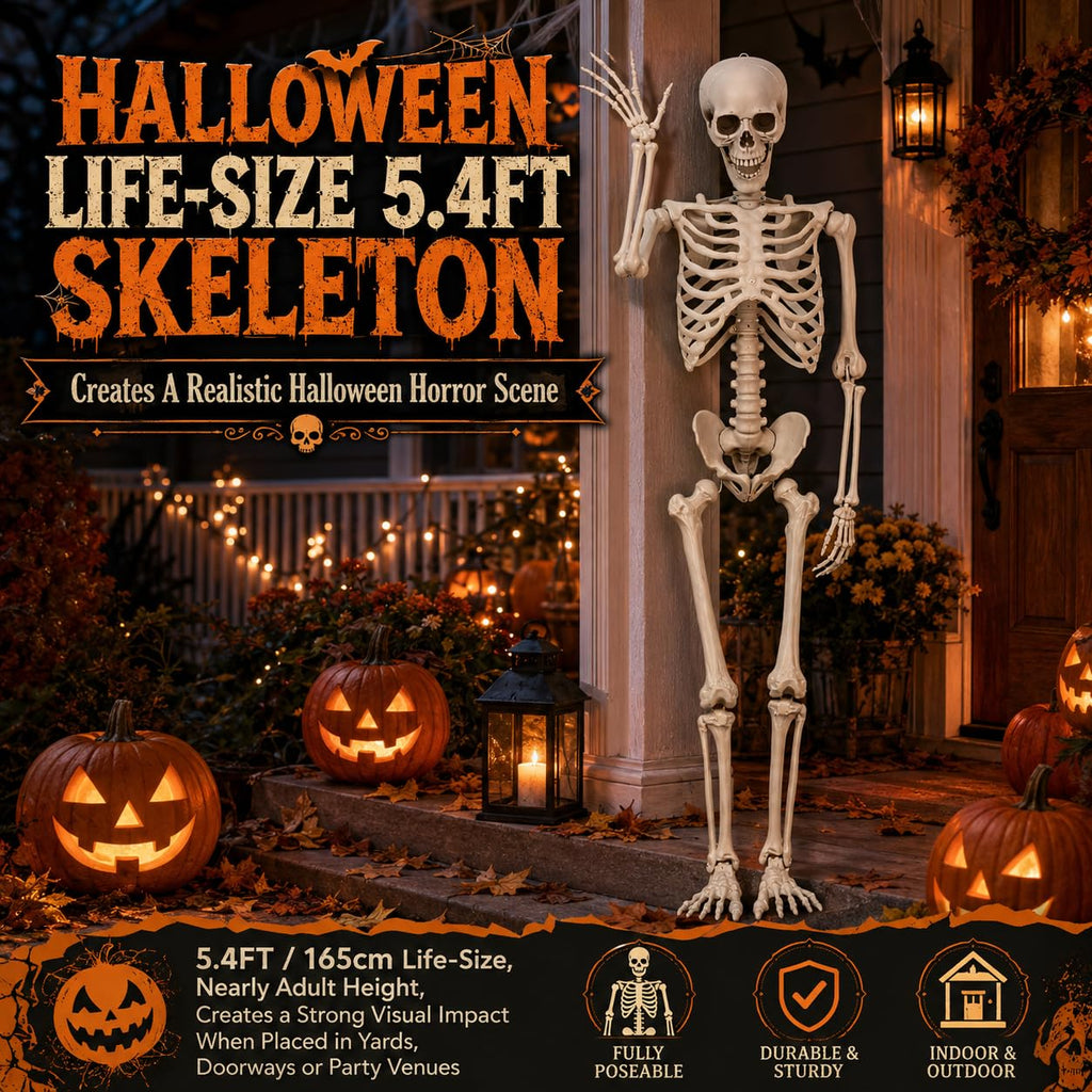 Life Size Poseable Skeleton with Movable Joints R837736