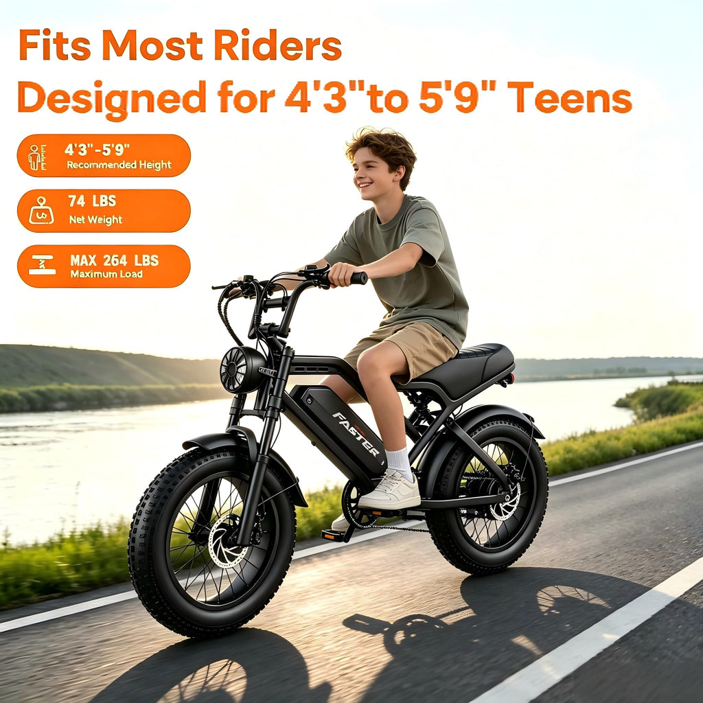 1000W 48V 16Ah Fat Tire Electric Bike K252
