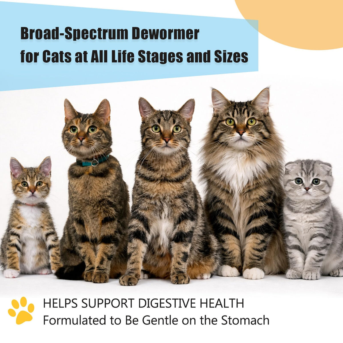 Dewormer for Cats and Kittens T8072