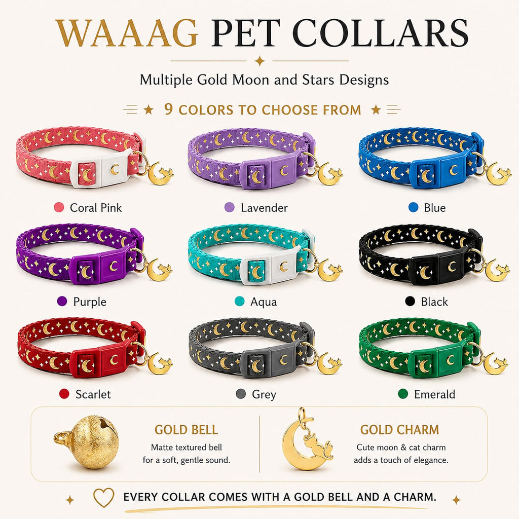 Breakaway Cat Collar with Bell I132012