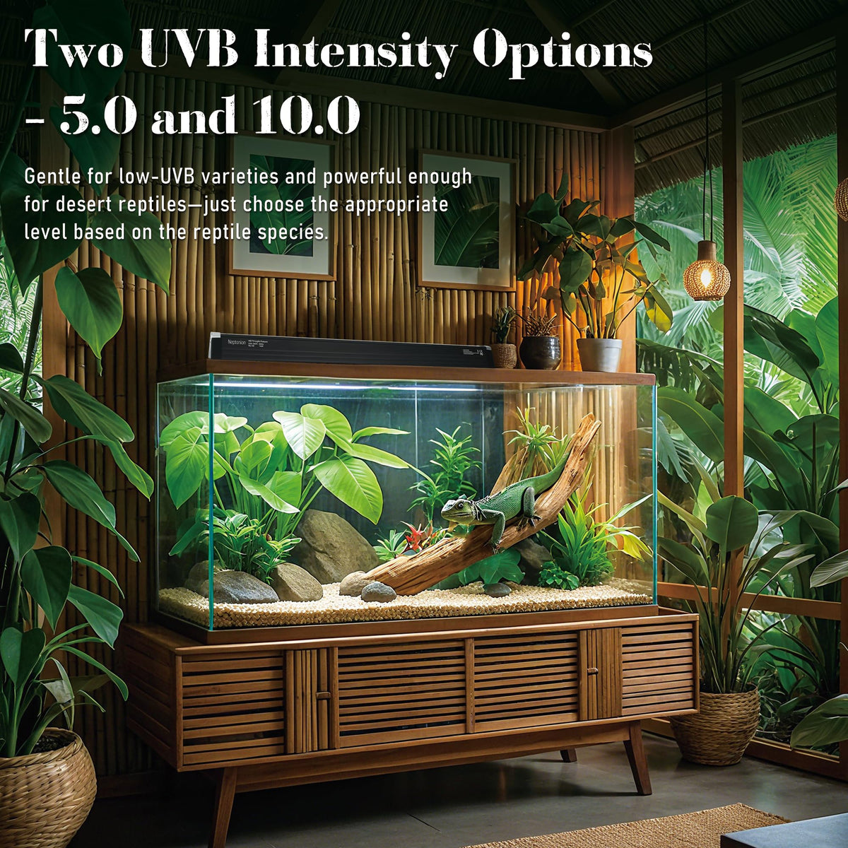 T5 HO UVB 5.0 Light Fixture with Tube W23475