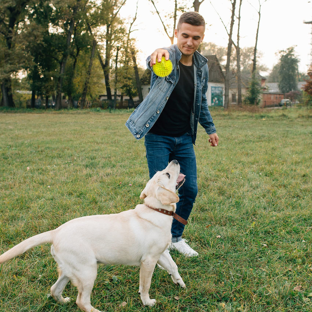 Squeaky Dog Toy Balls BPA Free Non-Toxic E295